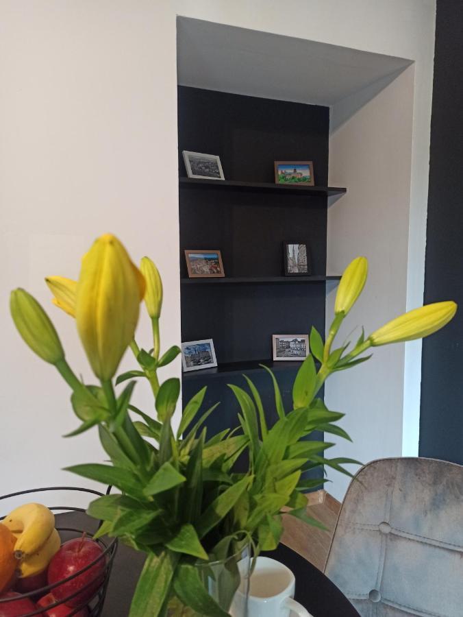Apartamento Cztery Katy W Rynku Wałbrzych Exterior foto